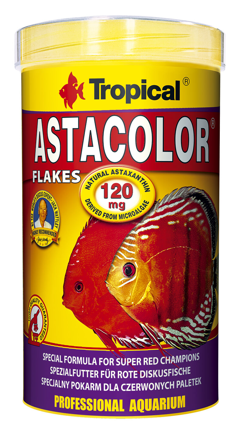 Astacolor