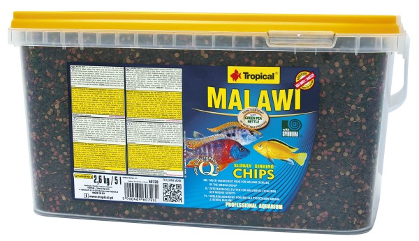 Malawi Chips