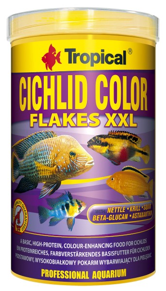 Cichlid Color
